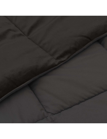 Piumone Completo Annuale Antracite 155 x 220 cm Microfibra