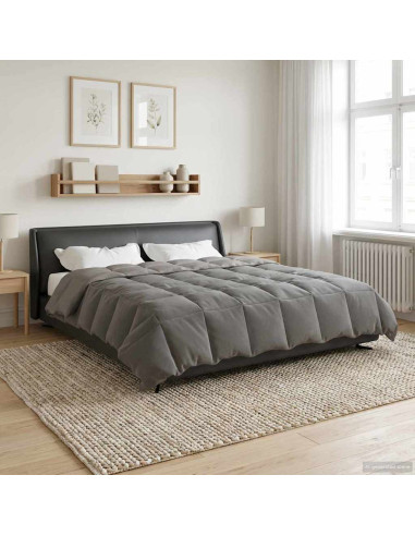 Piumone Completo Annuale Grigio chiaro 200 x 200 cm Microfibra