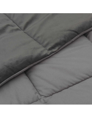 Piumone Completo Annuale Grigio chiaro 200 x 200 cm Microfibra