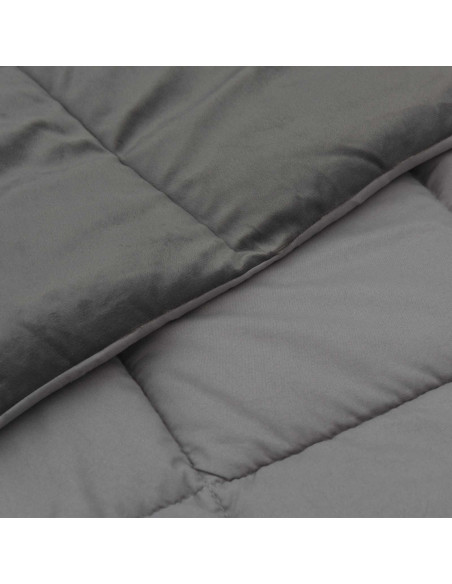 Piumone Completo Annuale Grigio chiaro 200 x 240 cm Microfibra