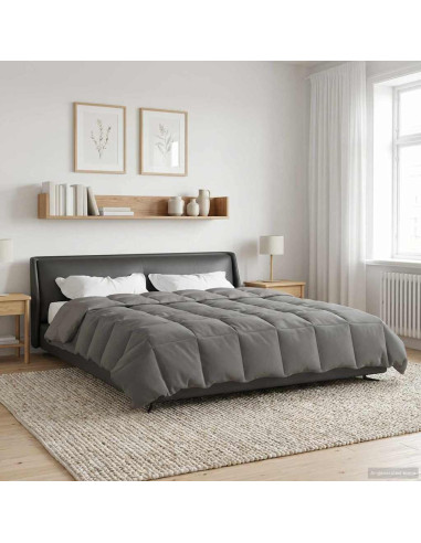 Piumone Completo Annuale Grigio chiaro 200 x 220 cm Microfibra