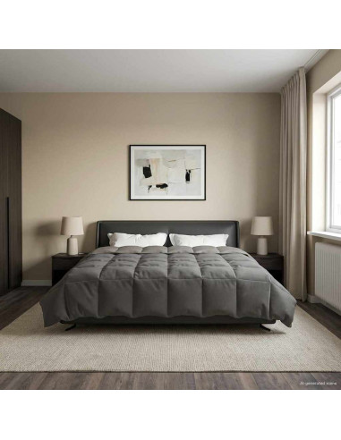 Piumone Completo Annuale Grigio chiaro 220 x 240 cm Microfibra
