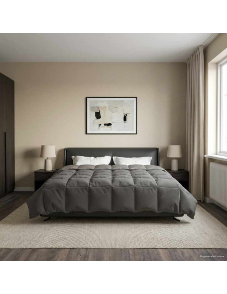 Piumone Completo Annuale Grigio chiaro 220 x 240 cm Microfibra