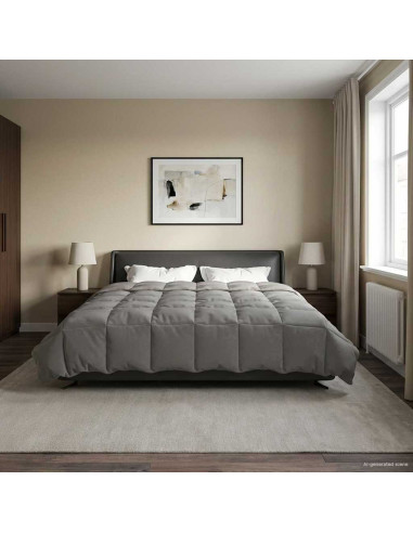 Piumone Completo Annuale Grigio chiaro 220 x 260 cm Microfibra