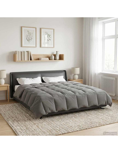 Piumone Completo Annuale Grigio chiaro 240 x 260 cm Microfibra