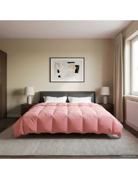 Piumone Completo Annuale Rosa 200 x 220 cm Microfibra
