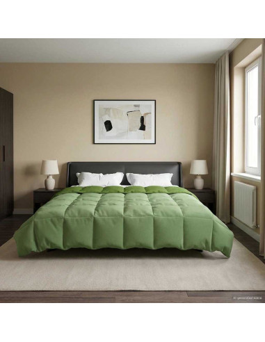 Piumone Completo Annuale Verde 220 x 240 cm Microfibra