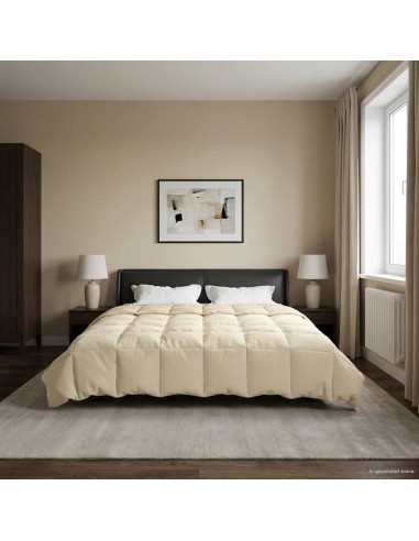 Duvet Invernale Trapuntato Crema 200 x 240 cm Microfibra