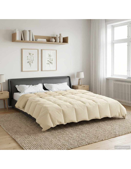 Duvet Invernale Trapuntato Crema 220 x 240 cm Microfibra