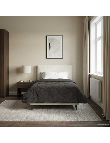 Duvet Estivo Antracite 155 x 200 cm Microfibra e Fleece Teddy