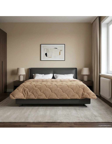 Piumone Completo Annuale Trapuntato Talpa 220 x 240 cm