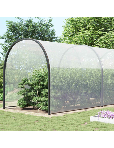 Telo con Occhielli Trasparente 10 x 10 m Polietilene