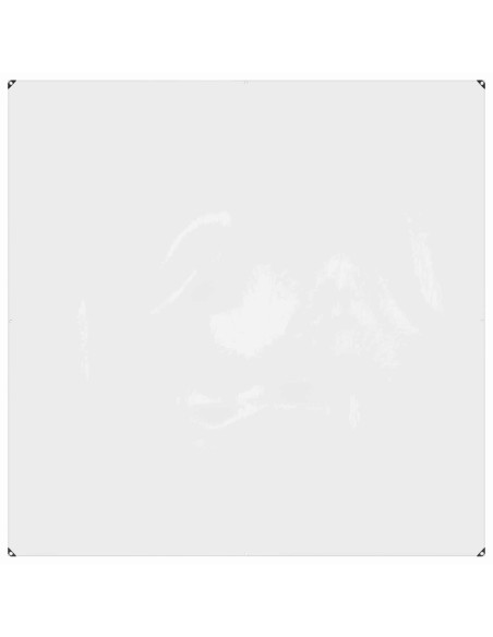 Telo con Occhielli Trasparente 2 x 2 m Polietilene
