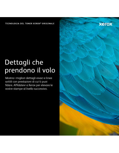 Xerox Cartuccia toner Ciano a Alta capacità da 16500 Pagine per Stampante a colori ® VersaLink® C8000W​/​colorir ® Versa