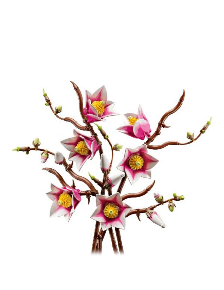 BOTANICALS 11510