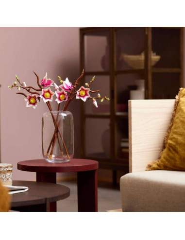 BOTANICALS 11510