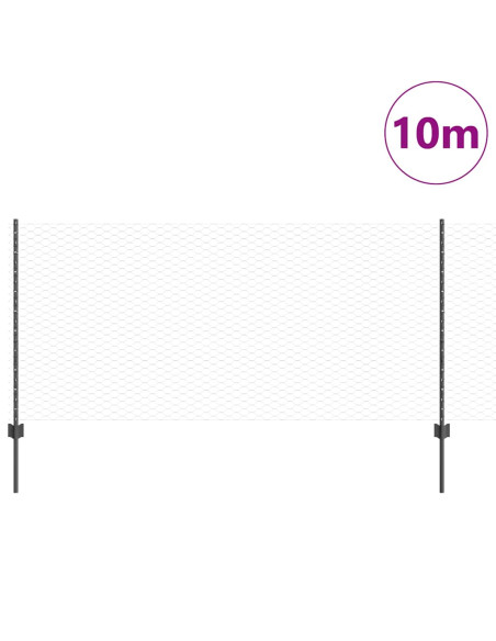 Recinzione con Posto Grigio 0,8 x 10 m Acciaio