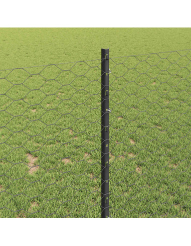 Recinzione con Posto Grigio 0,8 x 10 m Acciaio