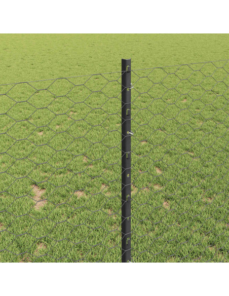 Recinzione con Posto Grigio 0,8 x 10 m Acciaio