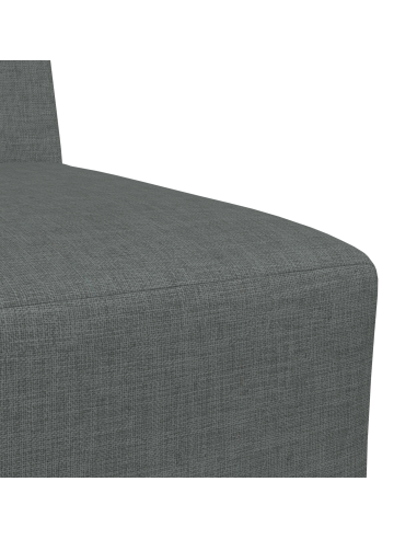 Unità di Divano Modulare Senza Braccioli 2 pcs Grigio scuro