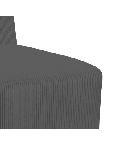 Unità di Divano Modulare Senza Braccioli 2 pcs Grigio scuro