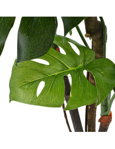 Pianta Artificiale di Monstera con Vaso 70 cm Verde 2