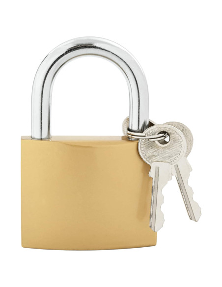 U Lock con Chiavi 6 pcs Ottone Ferro