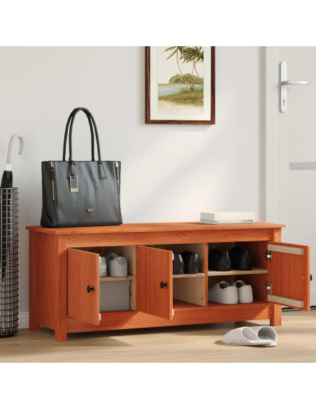 Mobile per scarpe Marrone Cera 110 x 38 x 45,5 cm