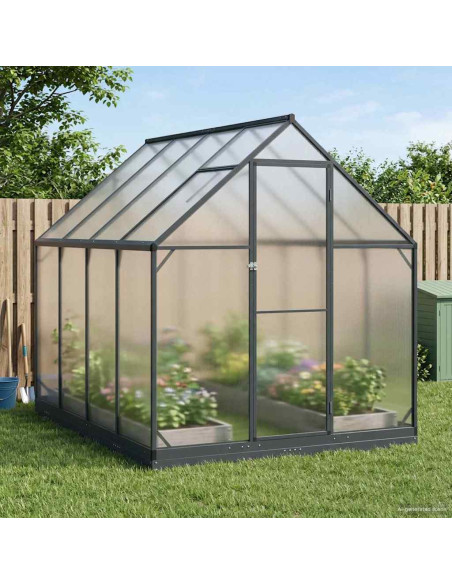 Serra da Giardino con porta Antracite 183,5 x 243,5 x 207 cm