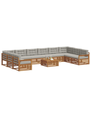 Set divani con cuscino 11 pcs Grigio Naturale e Chiaro