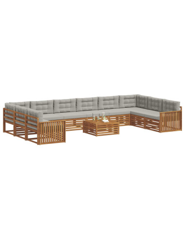 Set divani con cuscino 11 pcs Grigio Naturale e Chiaro
