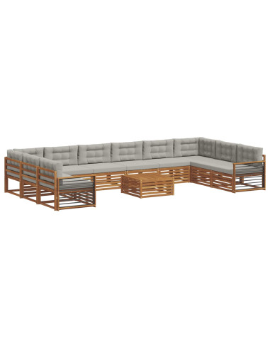 Set divani con cuscino 11 pcs Grigio Naturale e Chiaro