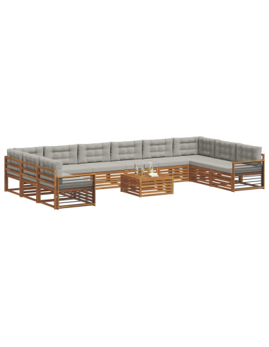 Set divani con cuscino 11 pcs Grigio Naturale e Chiaro