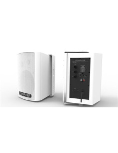 WALL 300 WORELESS UHF SING.SPEAKER 2