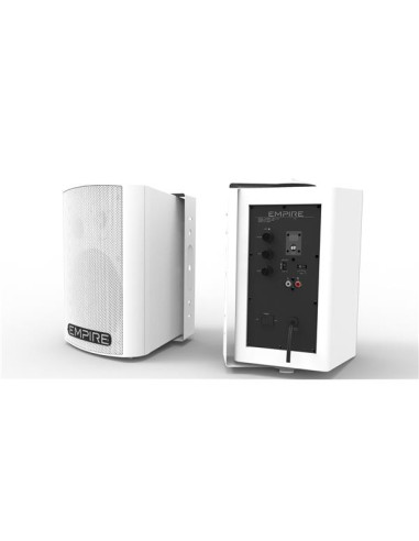WALL 300 WORELESS UHF SING.SPEAKER