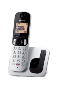 CORDLESS TGC260 SILVER SEGRET 2