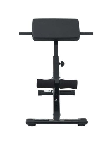 Panca per iperestensioni Nero 100.5 x 70 x 78 cm
