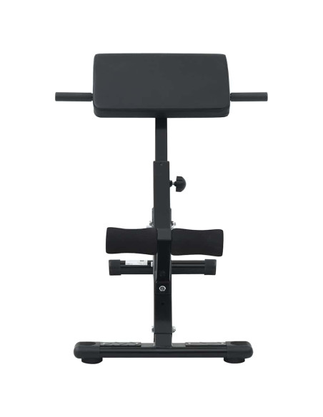 Panca per iperestensioni Nero 100.5 x 70 x 78 cm