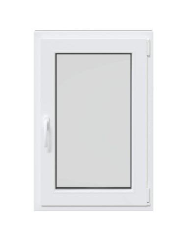 Finestra per Soffitta RISOR Antracite 60 x 90 cm PVC e Vetro