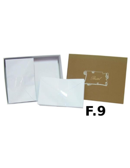 CF 100BIGL +100BUSTE BRISTOL 9X14CM