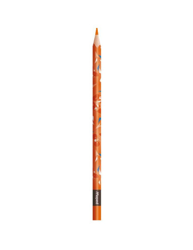 CF 12 MINI CUTE MATITE COLORATE