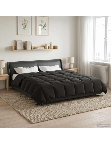 Duvet Invernale Trapuntato Antracite 240 x 260 cm Microfibra