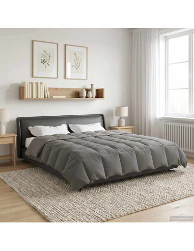 Duvet Invernale Grigio chiaro 200 x 200 cm Microfibra