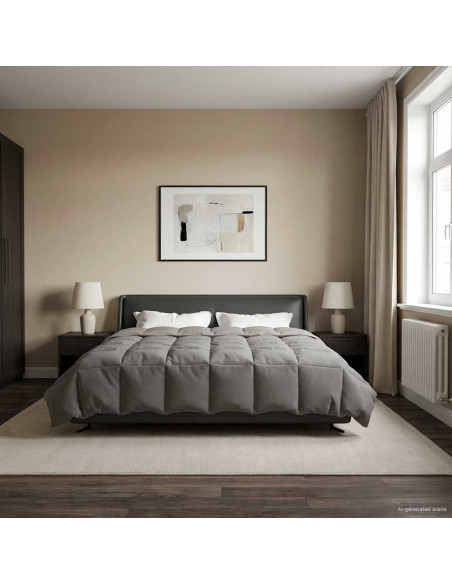 Duvet Invernale Grigio chiaro 200 x 240 cm Microfibra
