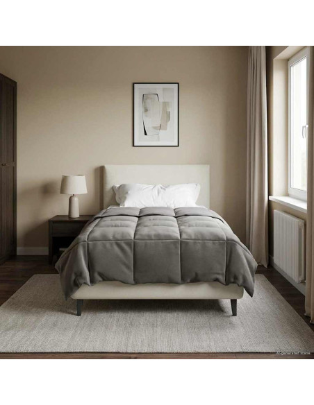 Duvet Invernale Grigio chiaro 155 x 220 cm Microfibra