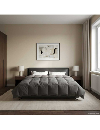 Duvet Invernale Grigio chiaro 220 x 240 cm Microfibra