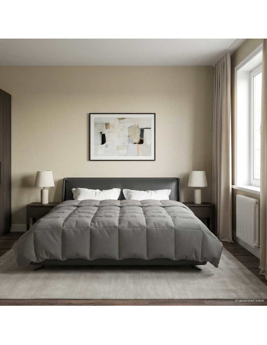 Duvet Invernale Grigio chiaro 220 x 260 cm Microfibra