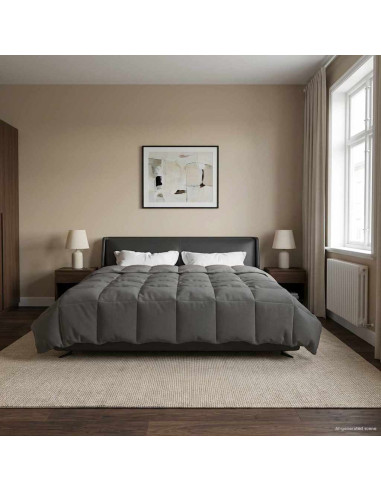 Duvet Invernale Grigio chiaro 240 x 260 cm Microfibra