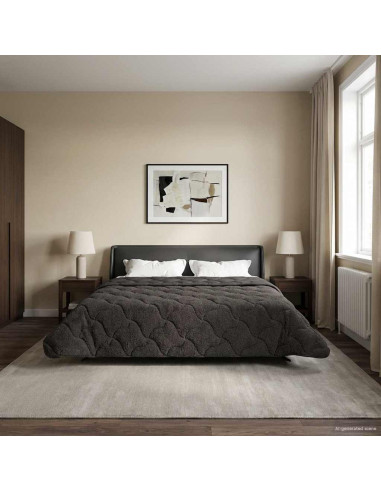 Duvet Estivo Antracite 200 x 200 cm Microfibra e Fleece Teddy