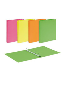 CF10 RACC. NEON CARTONE D30 ASS 2